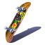 TECH DECK Hanboard santa cruz