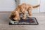 PET REBELLION Dinner Mate Little Paws Kobereček pod misku 40x60cm