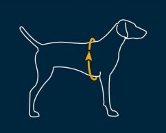 RUFFWEAR Web Master Postroj pro psy šedý XXS