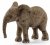 Schleich exotická zvířata