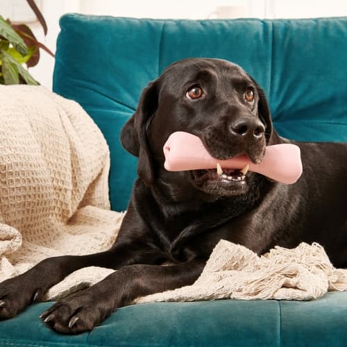 Beco Treat Bone Hračka pro psy růžová 17,5cm