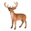 Zestaw startowy Mojo Forest Animals 4 szt.
