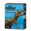 4M Dinosauří kostra - REX