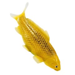 Mojo Carp koi rokon matsuba