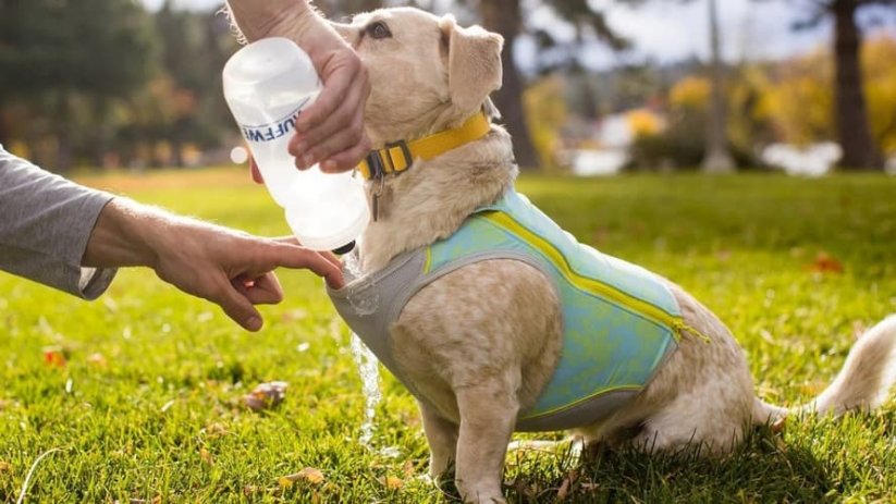 RUFFWEAR Swamp Cooler Zip™ Chladící vesta pro psy Blue Mist M