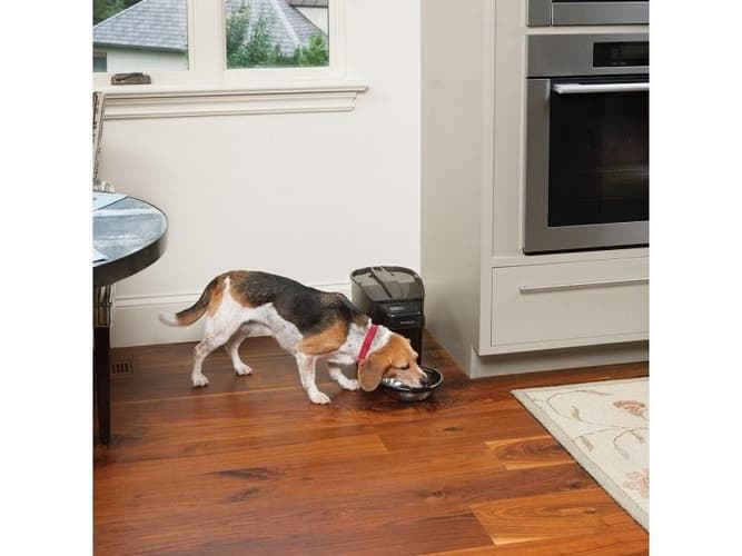 PetSafe® Healthy Pet Simply Feed™ Digitální krmítko