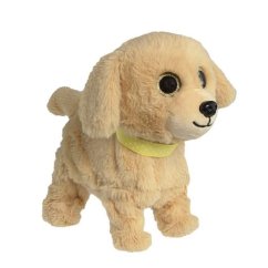 Hafíci II. Lumpík - Retriever