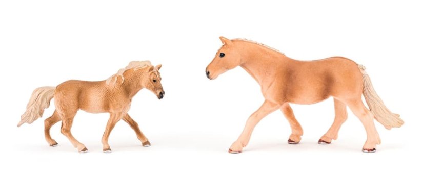 Sada koní s grošákem