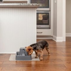 PetSafe® Fontánka 1,8l