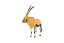 Antilopa pouštní zooted