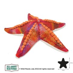 Wild Planet - Peluche étoile de mer