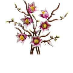 LEGO® Botanicals 11510 Vetvičky magnólie