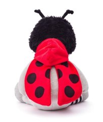 Coccinelle à pois, 31cm