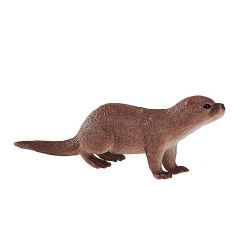 Mojo River Otter