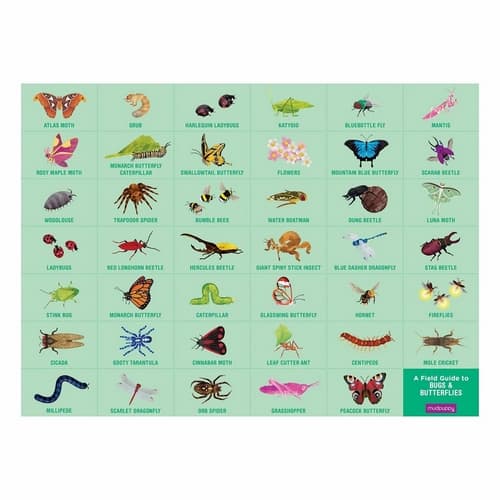 Mudpuppy Puzzle Chrobáky a motýle 64 dielikov