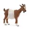 Schleich 14887 Chèvre