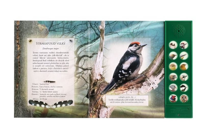 Vtáky našich lesov zvuková kniha