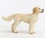 Schleich 13939 Pet Dog Goldendoodle kutyus