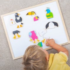 Bigjigs Toys Magnetic Bird Friends