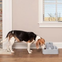 PetSafe® Fontánka 3,7l