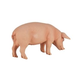 Porc Mojo