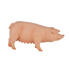 Mojo Sow
