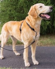 PetSafe® postroj pro psy 3v1, Harness and Car Restraint, černá, M