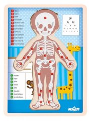 Puzzle "Lidské tělo" - Kluk CZ