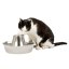 PetSafe® Seaside Nerezová fontánka 1,8l